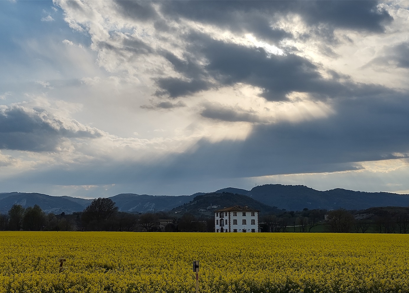 No s'ha trobat l'arxiu